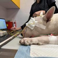 48_6429509148300457473_n